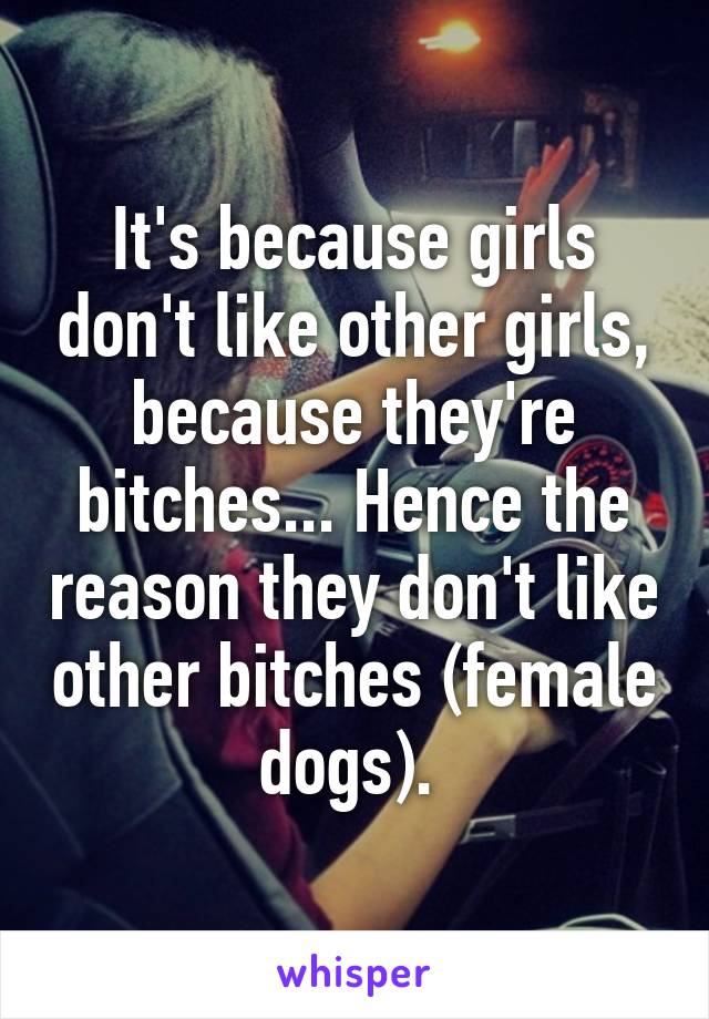 It's because girls don't like other girls, because they're bitches... Hence the reason they don't like other bitches (female dogs). 