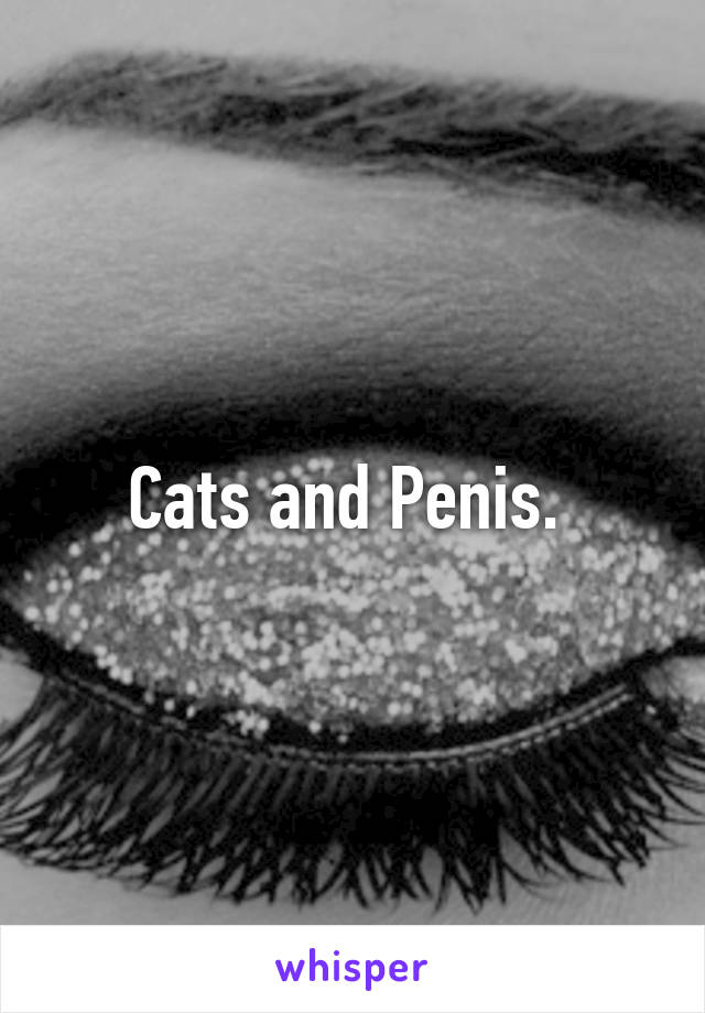 Cats and Penis. 