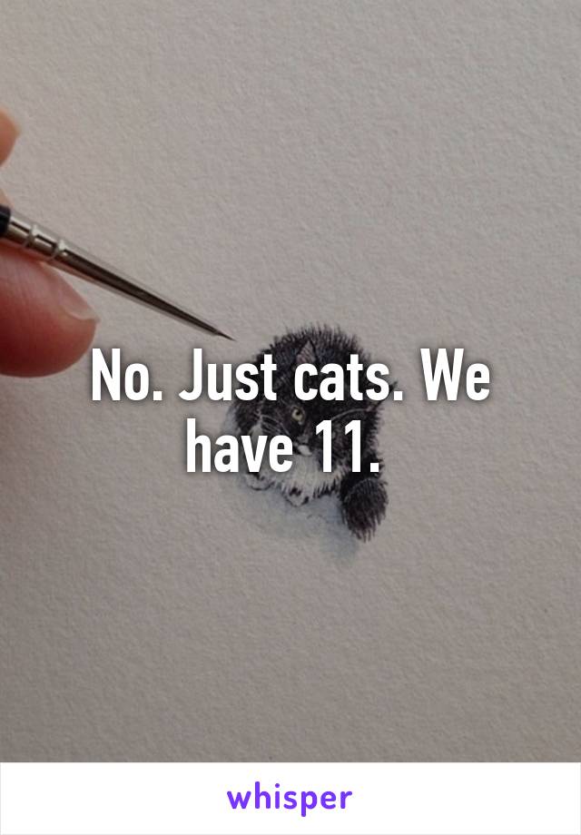 No. Just cats. We have 11. 