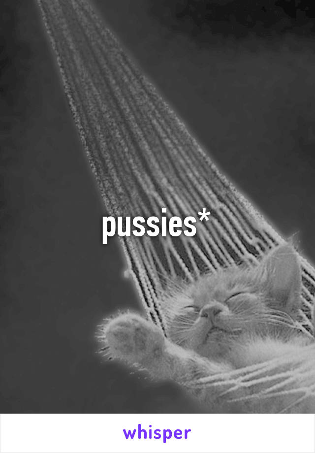 pussies*