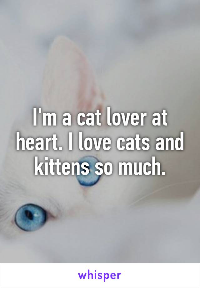 I'm a cat lover at heart. I love cats and kittens so much.