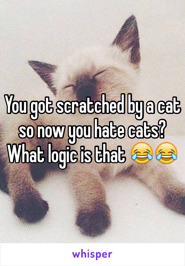 You got scratched by a cat so now you hate cats? What logic is that 😂😂