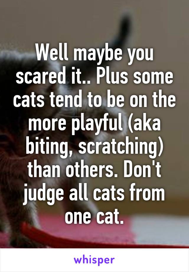 Well maybe you scared it.. Plus some cats tend to be on the more playful (aka biting, scratching) than others. Don't judge all cats from one cat.