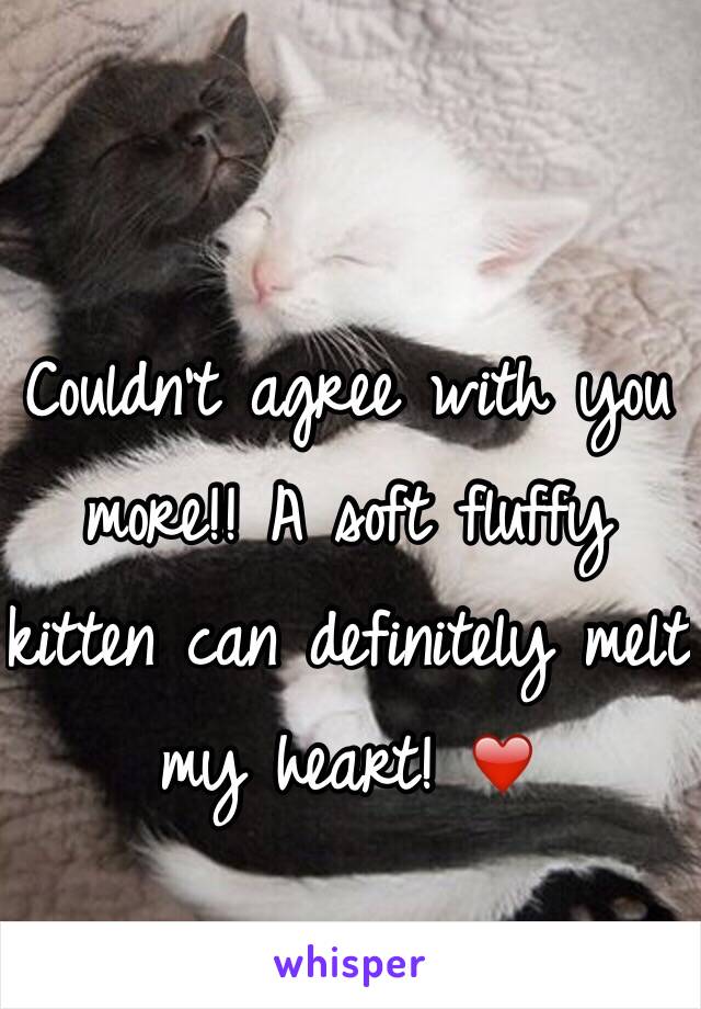 Couldn't agree with you more!! A soft fluffy kitten can definitely melt my heart! ❤️