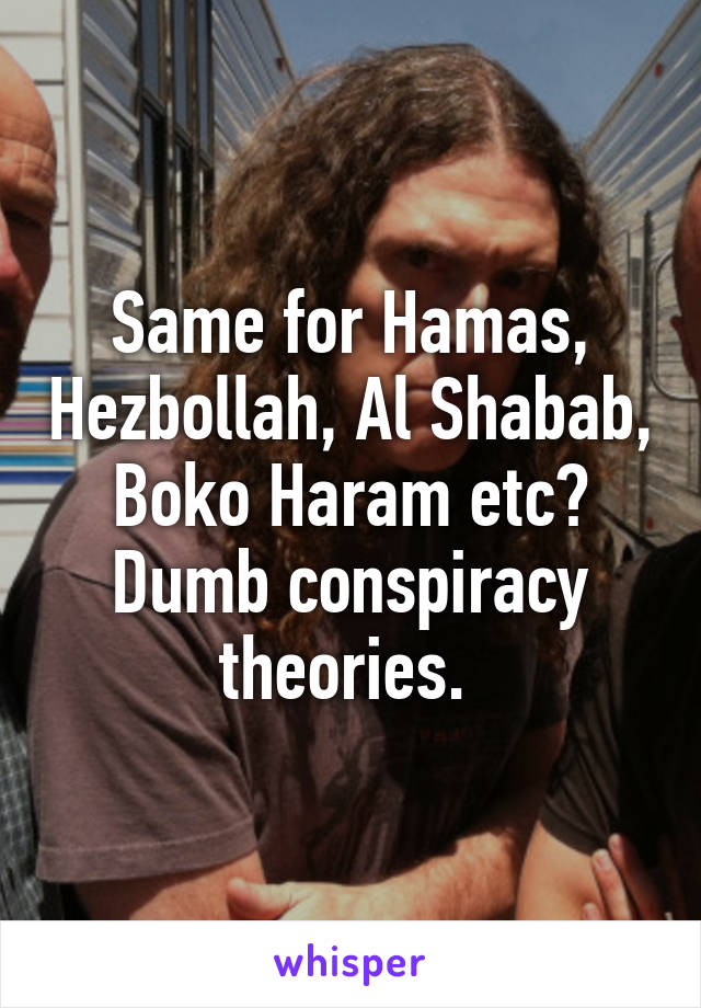 Same for Hamas, Hezbollah, Al Shabab, Boko Haram etc? Dumb conspiracy theories. 