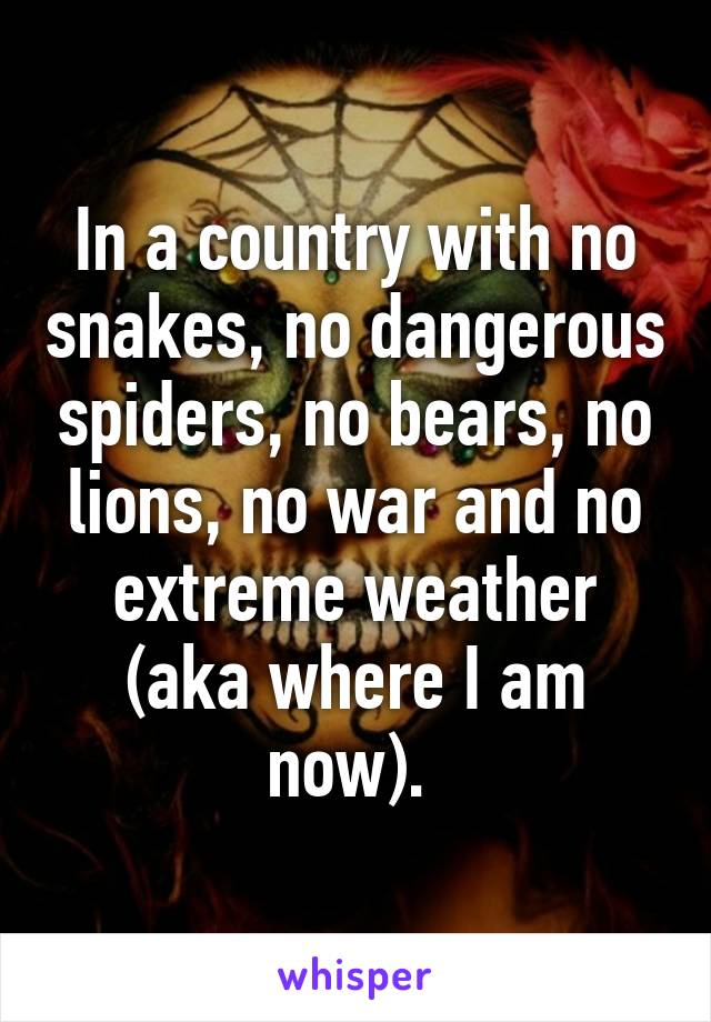 In a country with no snakes, no dangerous spiders, no bears, no lions, no war and no extreme weather (aka where I am now). 