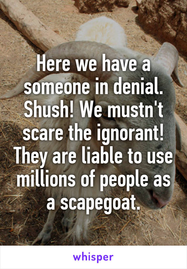 Here we have a someone in denial. Shush! We mustn't scare the ignorant! They are liable to use millions of people as a scapegoat.