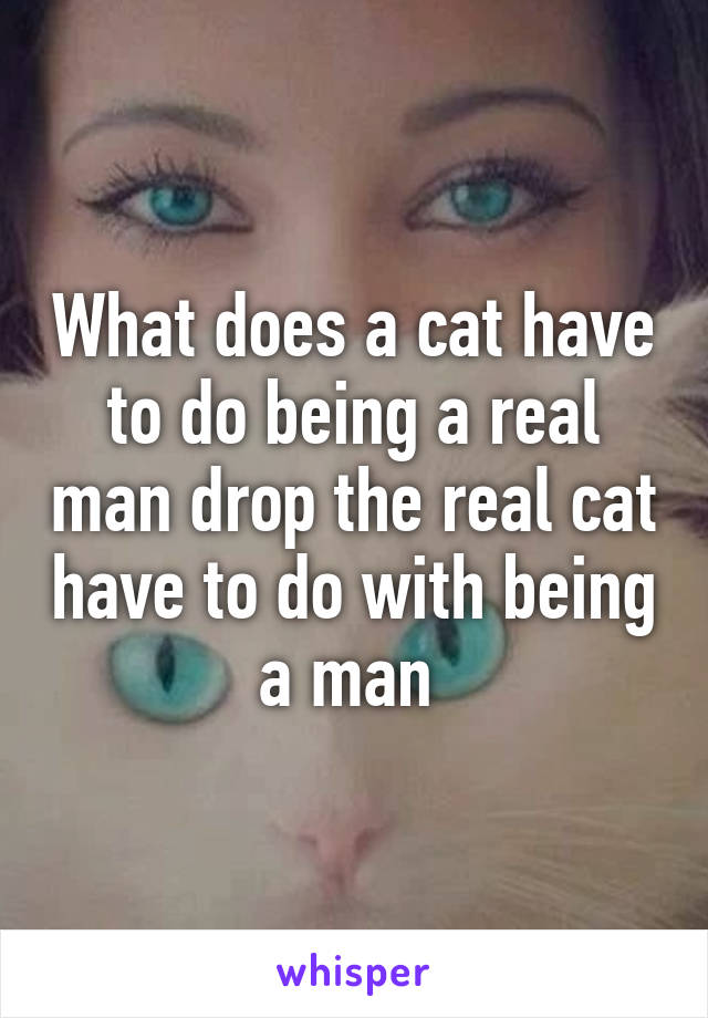 What does a cat have to do being a real man drop the real cat have to do with being a man 