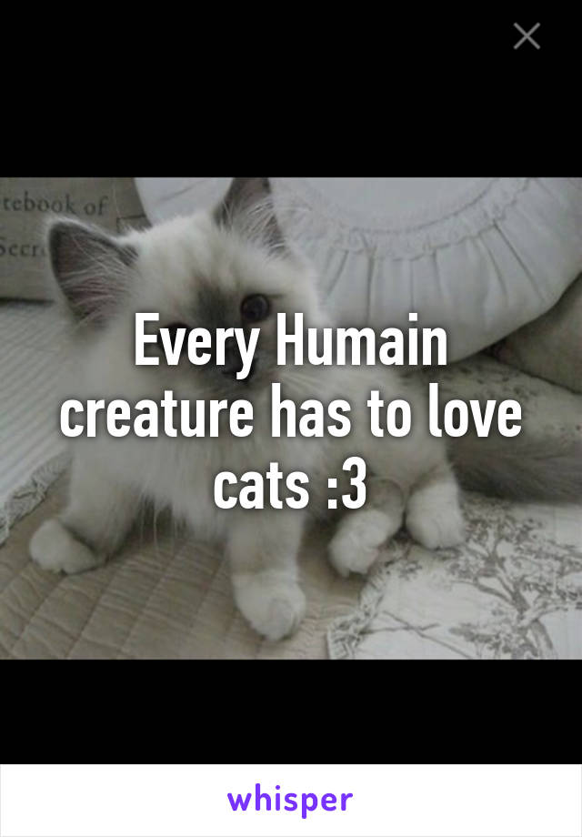 Every Humain creature has to love cats :3