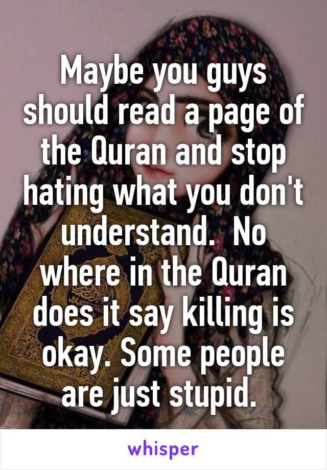 Maybe you guys should read a page of the Quran and stop hating what you don't understand.  No where in the Quran does it say killing is okay. Some people are just stupid. 