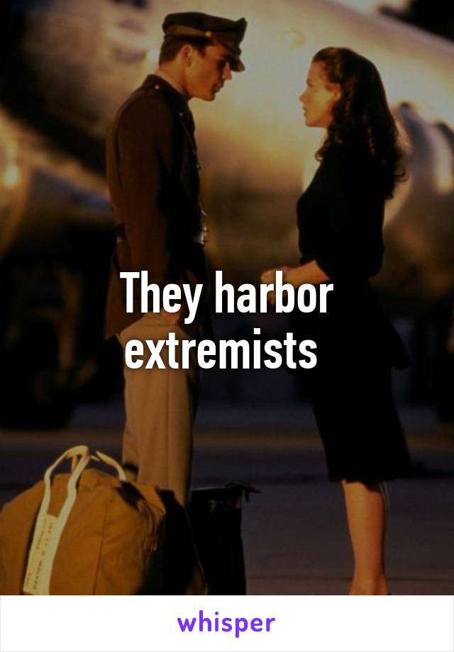 They harbor extremists 