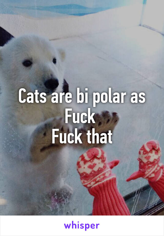 Cats are bi polar as Fuck 
Fuck that