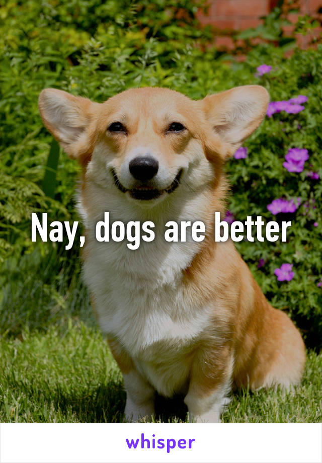 Nay, dogs are better