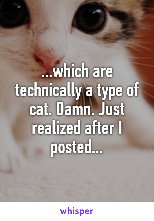 ...which are technically a type of cat. Damn. Just realized after I posted...