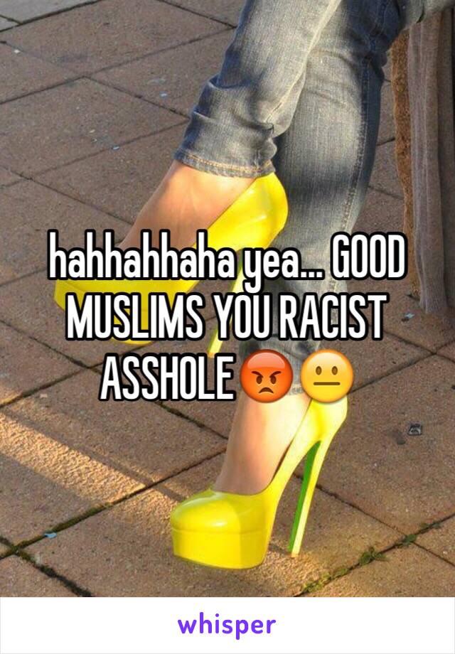 hahhahhaha yea... GOOD MUSLIMS YOU RACIST ASSHOLE😡😐