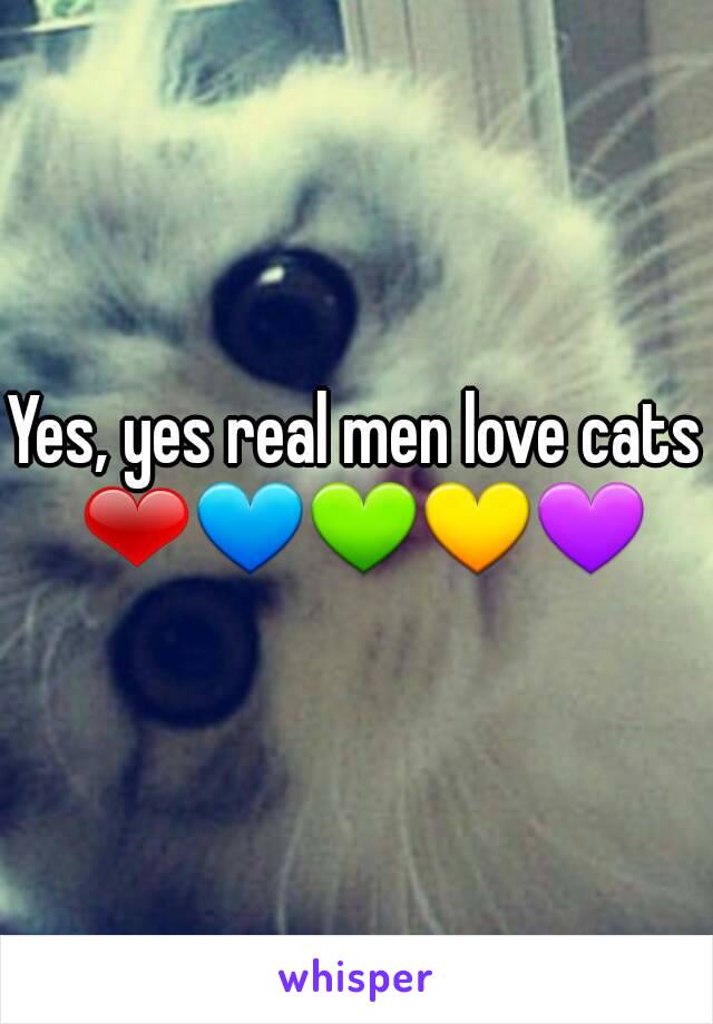 Yes, yes real men love cats ❤💙💚💛💜