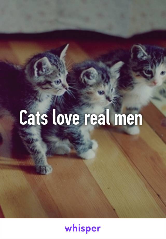 Cats love real men 