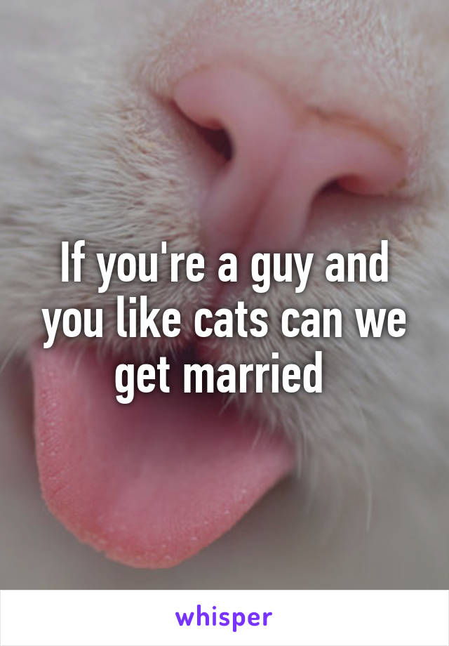 If you're a guy and you like cats can we get married 