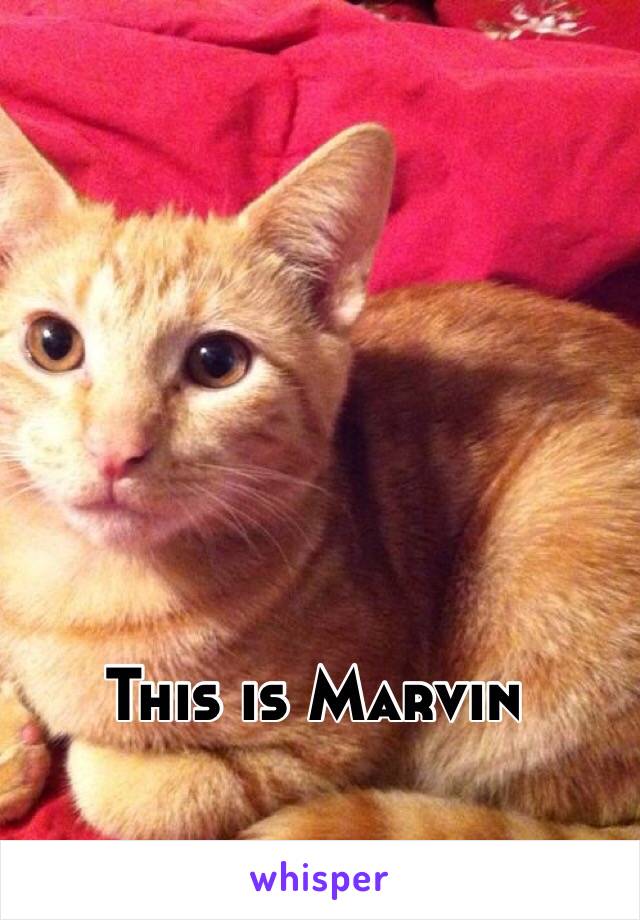 This is Marvin 
