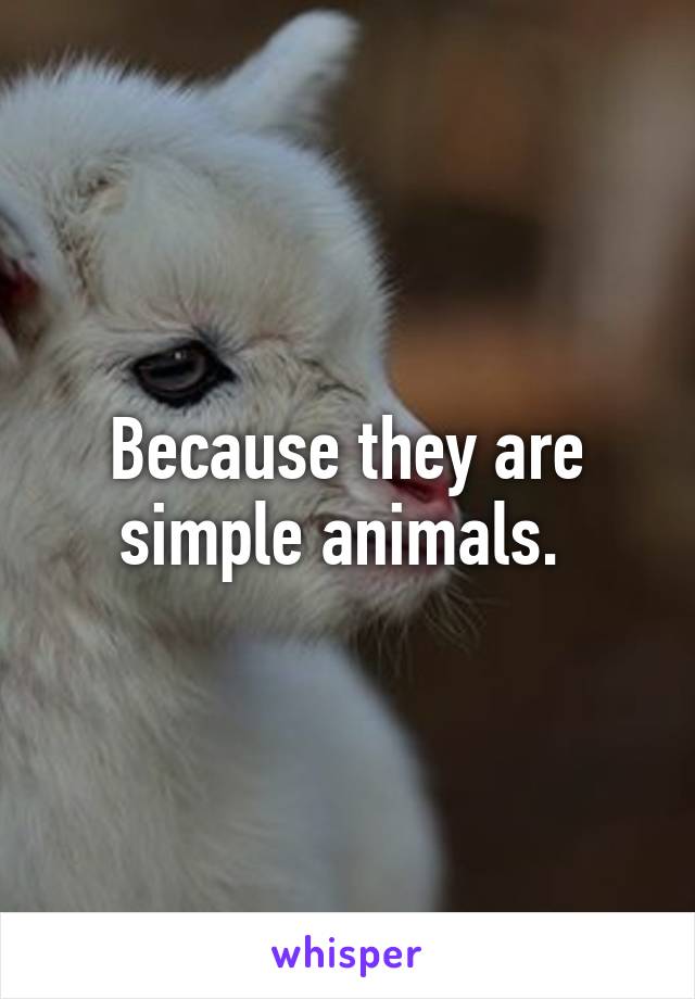 Because they are simple animals. 