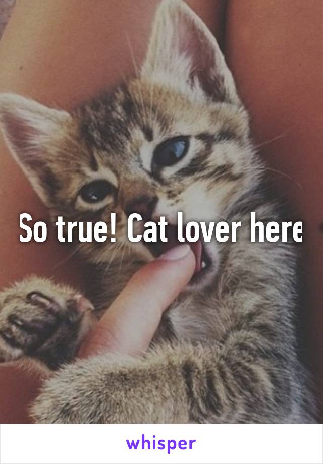 So true! Cat lover here