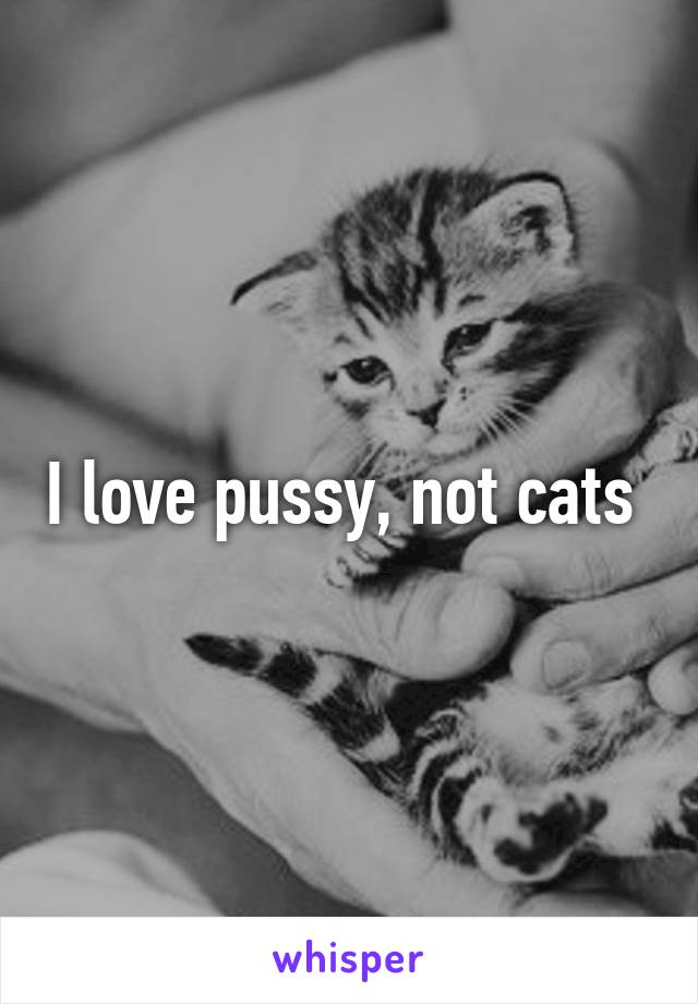 I love pussy, not cats 