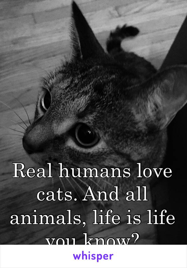 Real humans love cats. And all animals, life is life you know?