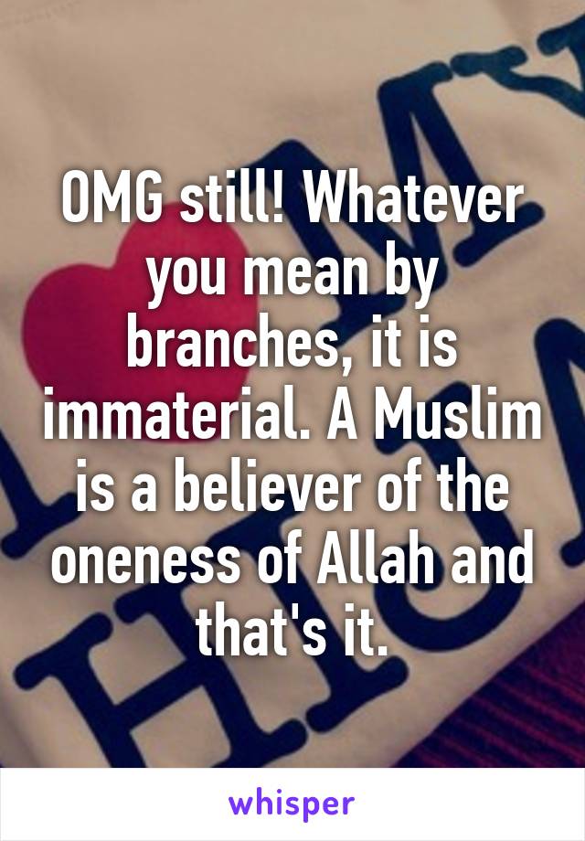 OMG still! Whatever you mean by branches, it is immaterial. A Muslim is a believer of the oneness of Allah and that's it.