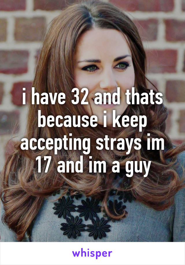 i have 32 and thats because i keep accepting strays im 17 and im a guy