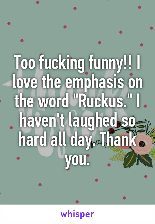 Too fucking funny!! I love the emphasis on the word "Ruckus." I haven't laughed so hard all day. Thank you.