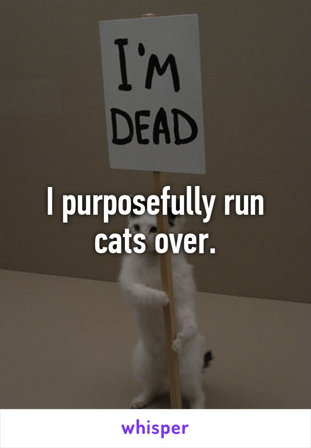 I purposefully run cats over.