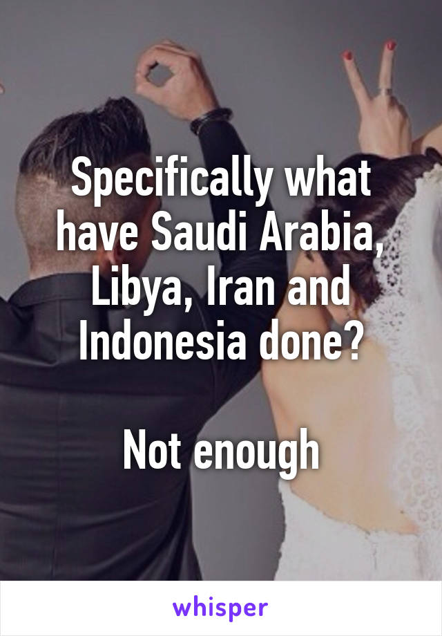 Specifically what have Saudi Arabia, Libya, Iran and Indonesia done?

Not enough