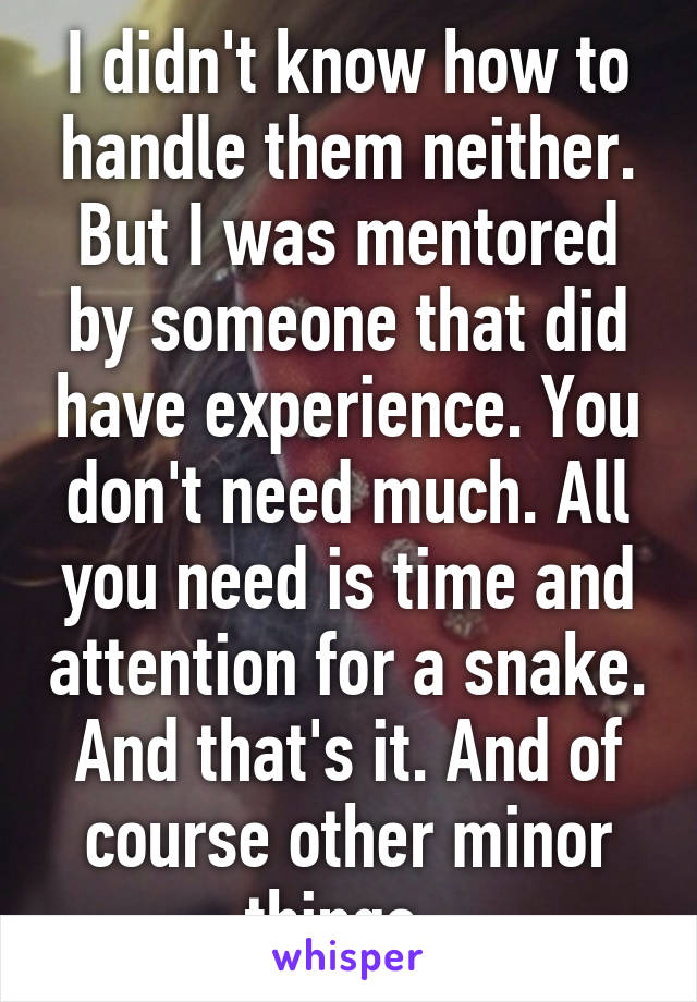 I didn't know how to handle them neither. But I was mentored by someone that did have experience. You don't need much. All you need is time and attention for a snake. And that's it. And of course other minor things. 