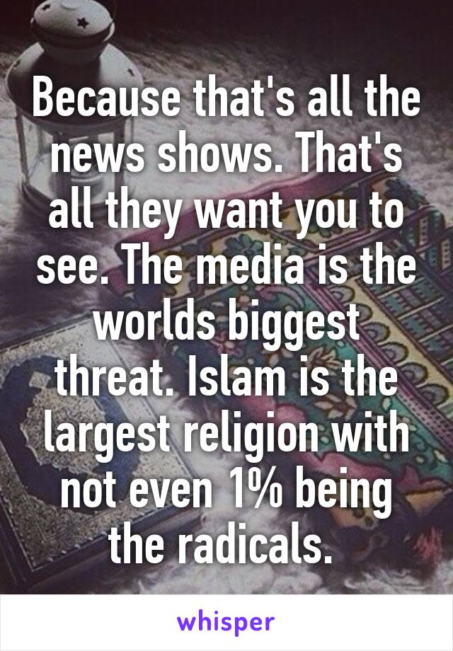 Because that's all the news shows. That's all they want you to see. The media is the worlds biggest threat. Islam is the largest religion with not even 1% being the radicals. 