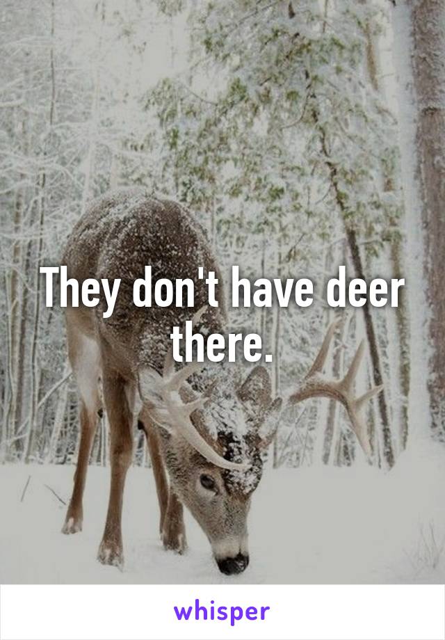 They don't have deer there.