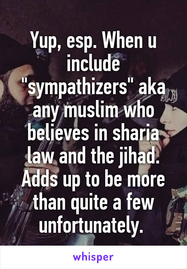 Yup, esp. When u include "sympathizers" aka any muslim who believes in sharia law and the jihad. Adds up to be more than quite a few unfortunately. 