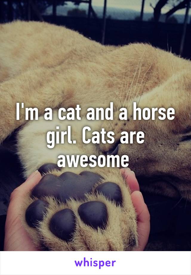 I'm a cat and a horse girl. Cats are awesome 