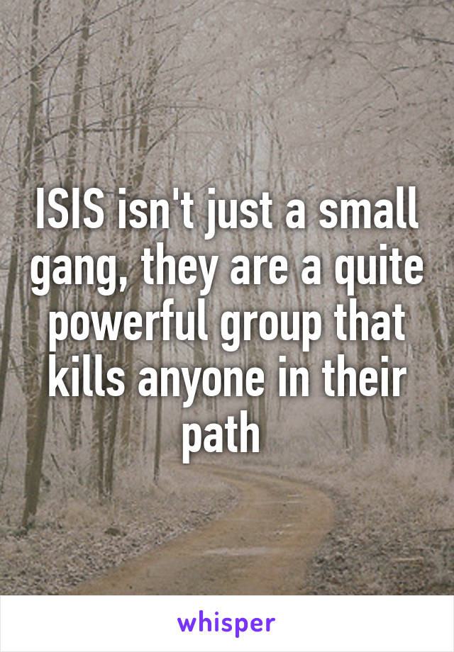 ISIS isn't just a small gang, they are a quite powerful group that kills anyone in their path 