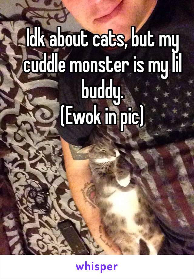 Idk about cats, but my cuddle monster is my lil buddy. 
(Ewok in pic)