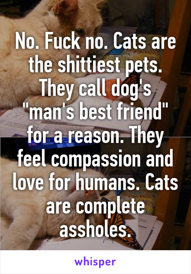 No. Fuck no. Cats are the shittiest pets. They call dog's "man's best friend" for a reason. They feel compassion and love for humans. Cats are complete assholes.