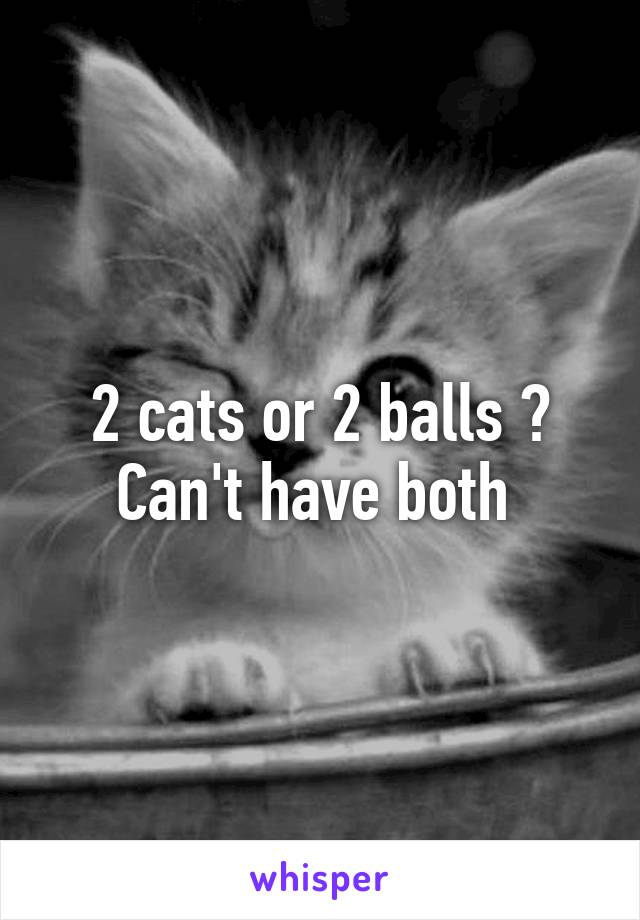 2 cats or 2 balls ? Can't have both 