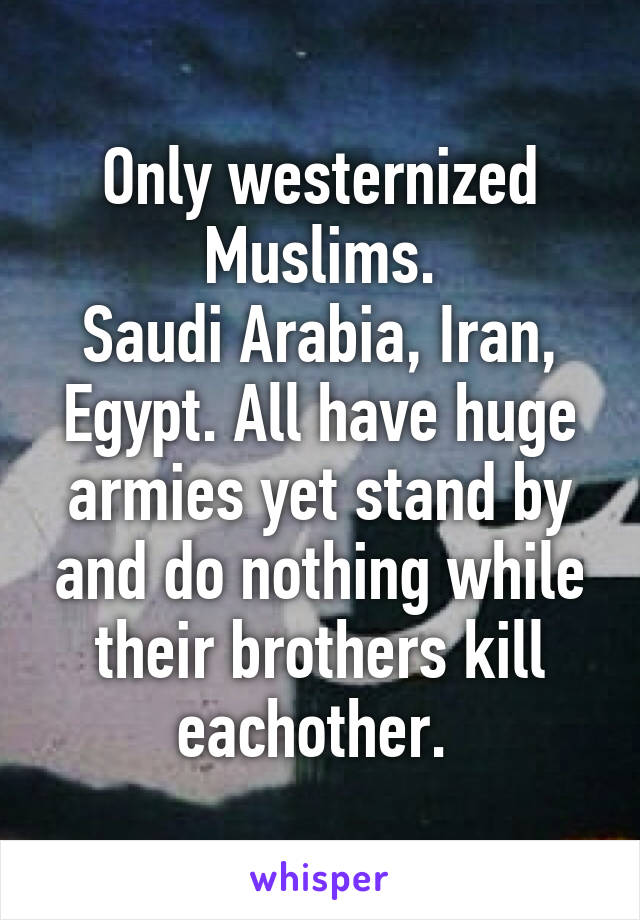 Only westernized Muslims.
Saudi Arabia, Iran, Egypt. All have huge armies yet stand by and do nothing while their brothers kill eachother. 