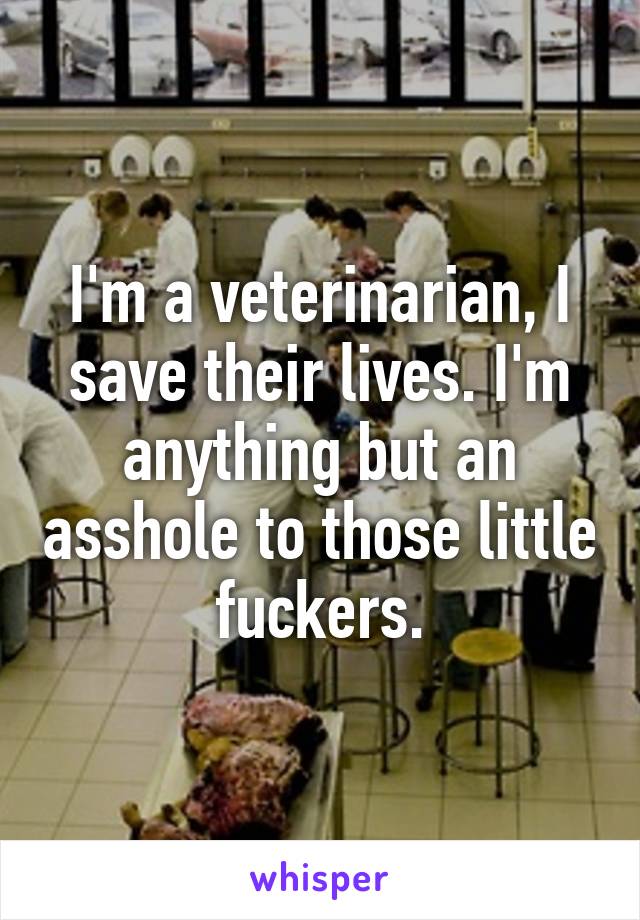 I'm a veterinarian, I save their lives. I'm anything but an asshole to those little fuckers.