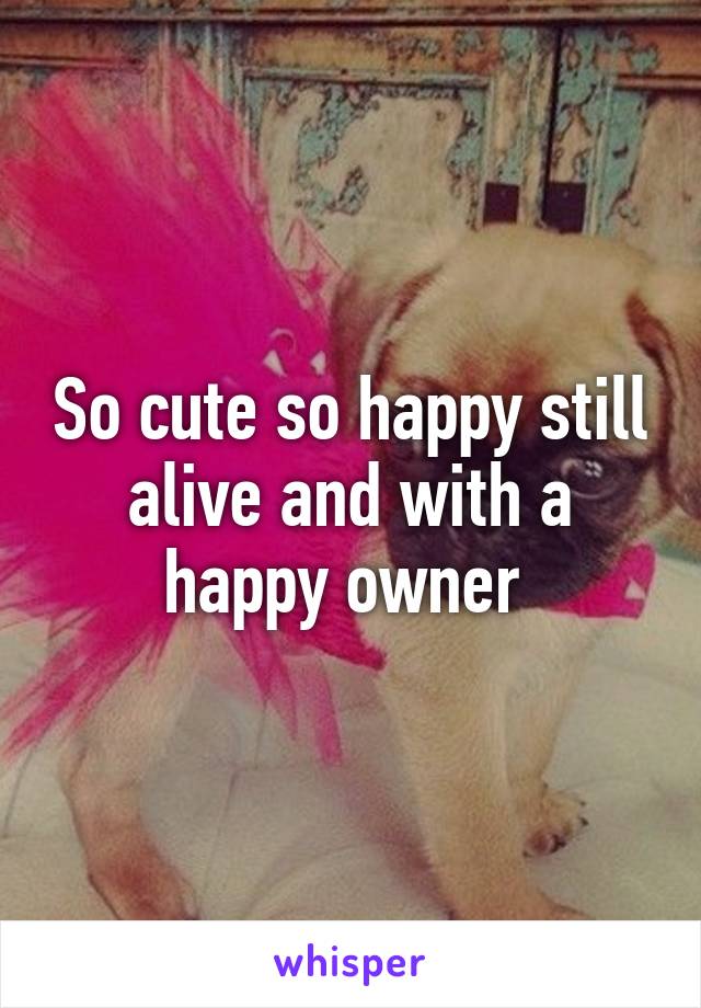 So cute so happy still alive and with a happy owner 