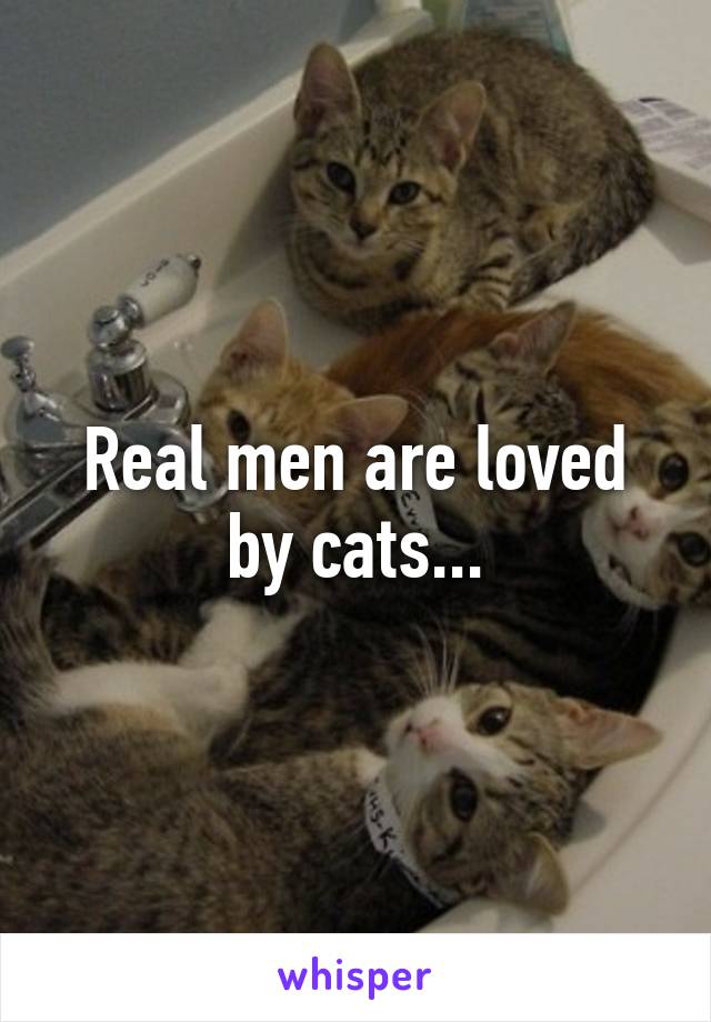 Real men are loved by cats...