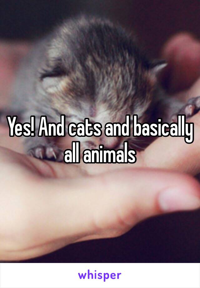 Yes! And cats and basically all animals