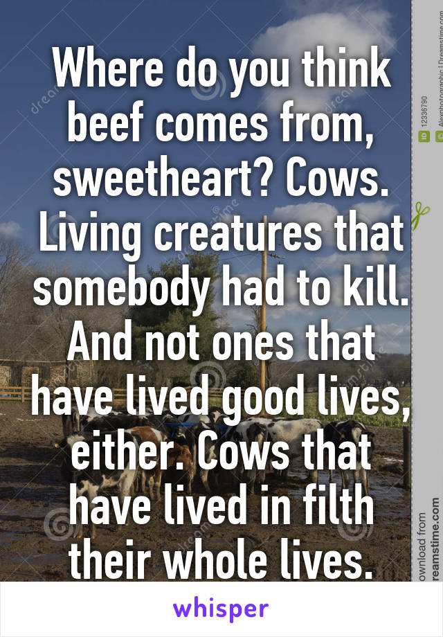 Where do you think beef comes from, sweetheart? Cows. Living creatures that somebody had to kill. And not ones that have lived good lives, either. Cows that have lived in filth their whole lives.