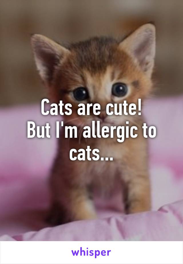 Cats are cute!
But I'm allergic to cats...