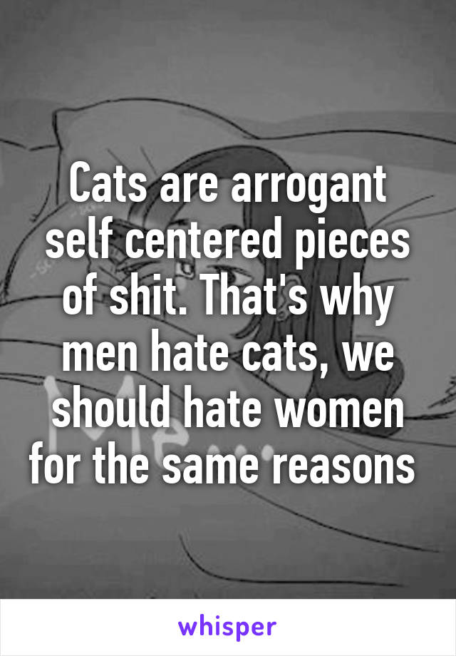 Cats are arrogant self centered pieces of shit. That's why men hate cats, we should hate women for the same reasons 