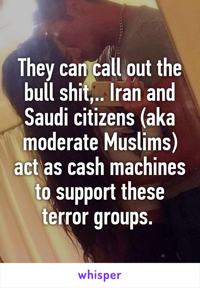 They can call out the bull shit,.. Iran and Saudi citizens (aka moderate Muslims) act as cash machines to support these terror groups. 